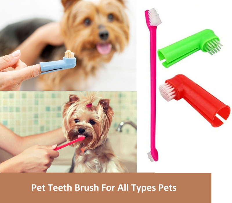 Hachiko Dogs/Cats Toothbrush Cleaning Dental Teethbrush Finger Toothbrush Dog Cat Cleaning Brush Pets Tools Supplies Pet Teethbrush, Pet Teeth Cleaning, Pet Hand Toothbrush (Dog,Cat) Pet Toothbrush(dog, cat, pet, rabbit)