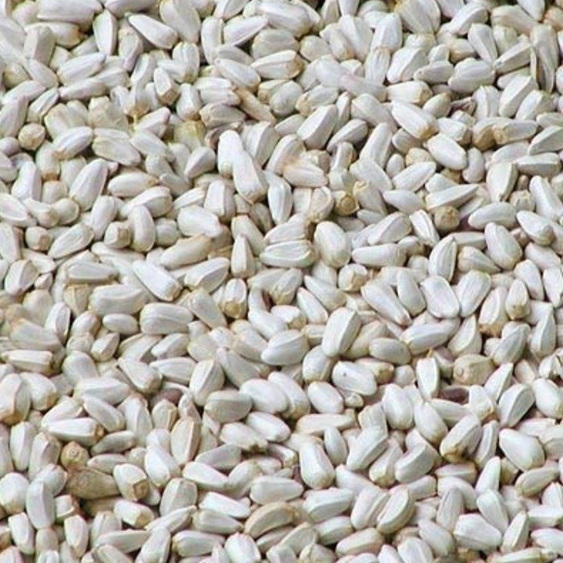 Parrots Wizard Safflower Seeds/Kardi Seed for Wild Birds 0.5 kg Dry Young, Adult Bird Food
