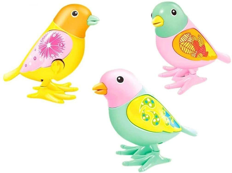 SR Toys Key Operated Gift Toys for Kids 2 3 4 5 Years Baby Boy and Girl (Assorted Model) (Sparrow Set of 3) Rattle(Multicolor)
