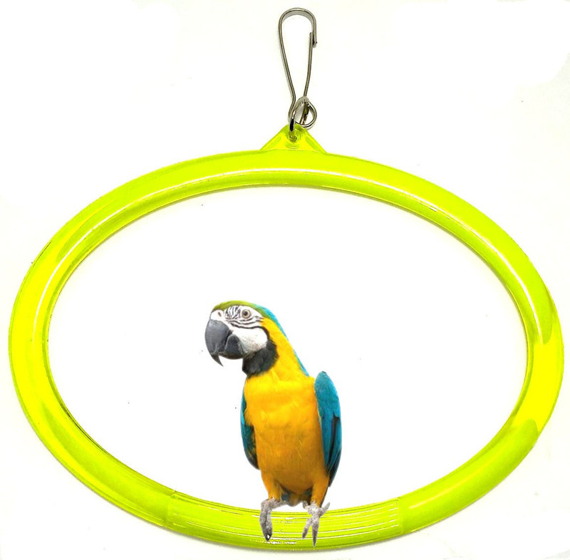 Skystar Fiber Training Aid For Bird