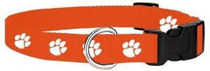 DogTrust Paw Printed Collar Oange Colored pack of 1 Plain Dog & Cat Collar Charm(Orange, Other)