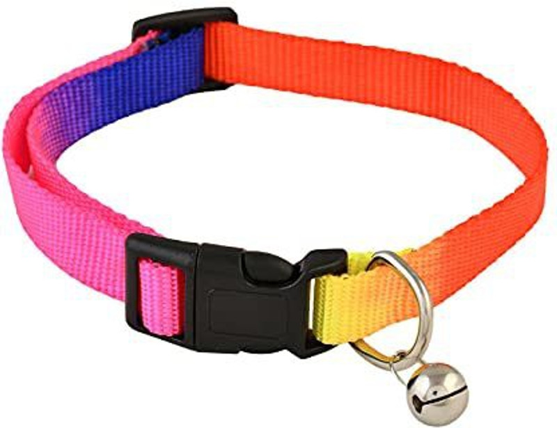 DogTrust Collars Breakaway with Bell,Kitten and Small Dogs Soft Adjustable Collar Safe,Solid and Protection for Cats and Puppies,Cute Kitty Neckband with paw Print- Set of 1(Purple) Bell Dog & Cat Collar Charm(Multicolor, Other)