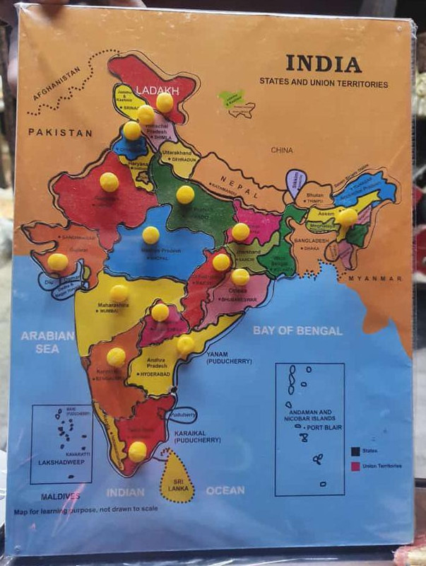 VSINDIA Indian Colorful Wooden MAP Tray(Multicolor)