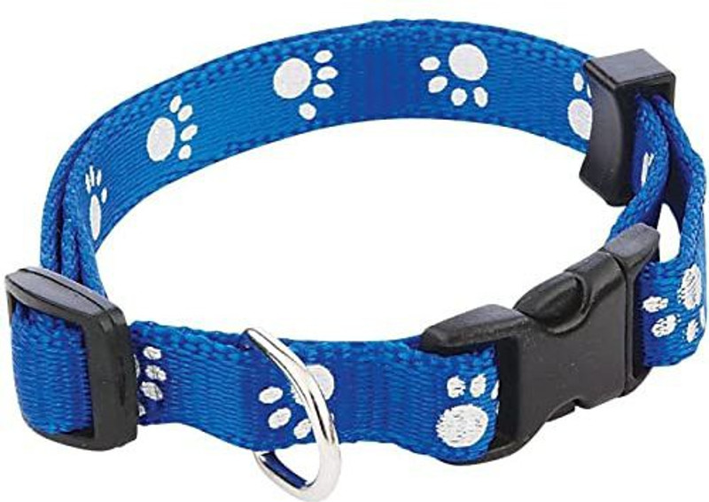 DogTrust Dog & Cat Everyday Collar (Small, Blue) Bell Dog & Cat Collar Charm(Blue, Other)