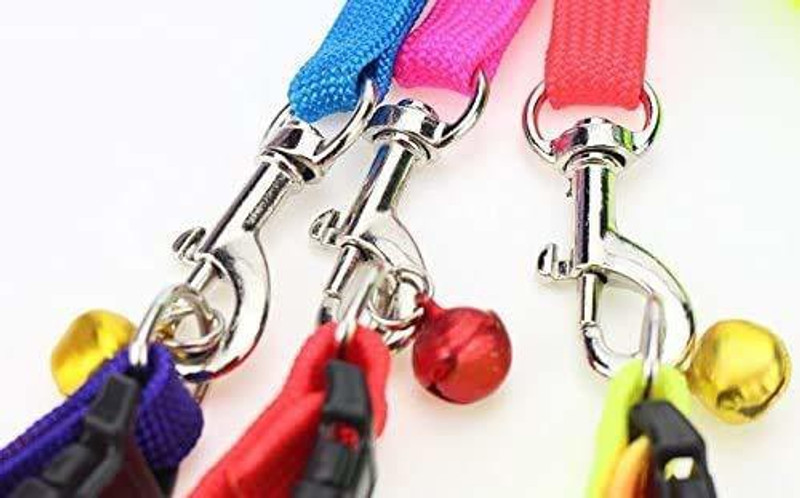 PSK PET MART 120 cm Dog & Cat Strap Leash(Multicolor)