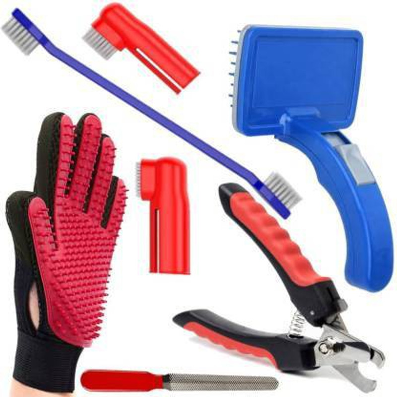 DogTrust Dog Grooming Kit - Dog Nail Clippers with Filer + Dog Toothbrush Kit + Dog Plastic Slicker Brush with Press Key for Puppies and Dogs + Pet Grooming Glove for Dog, Puppy, Cat - 4 in 1 Dog Combo (Color May Vary) Basic Comb for Dog, Cat, Hamster, Rabbit Grooming Gloves for Dog(Blue, Medium)