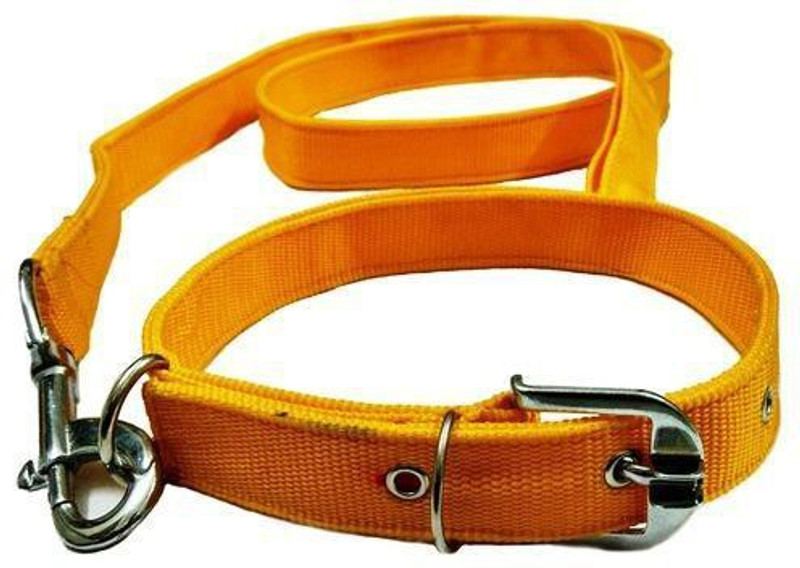 G T L Enterprises Dog collar and Lease Large size 20 cm Dog Strap Leash(Yellow)