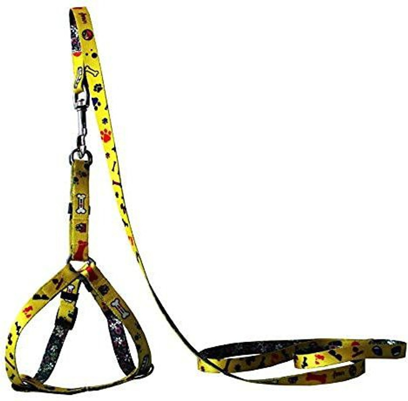 DogTrust Harness with Leash Set for dog (Yellow) Alphabet Engraved Dog Collar Charm(Yellow, Round)