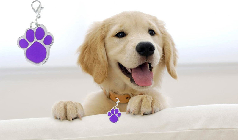 Rvpaws Paw Footprint Shape Collar Tag Cum Pendant for / Puppy / Kitten / Cat (Purple) Bell Dog Collar Charm(Purple, Round)