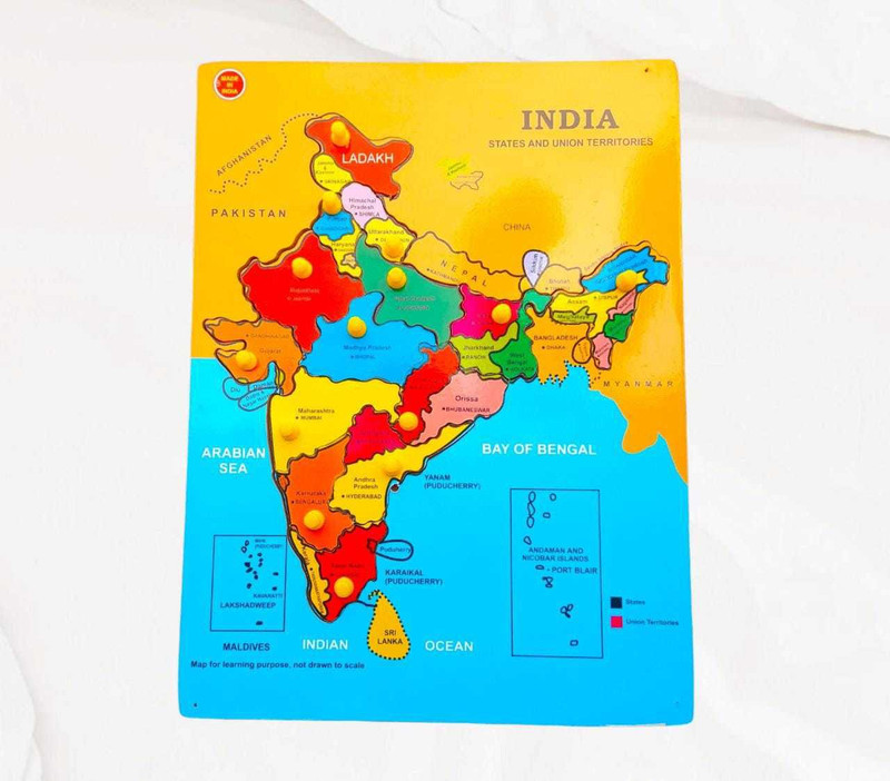 VSINDIA Wooden Map Of India Educational Puzzle For Kids(Multicolor)