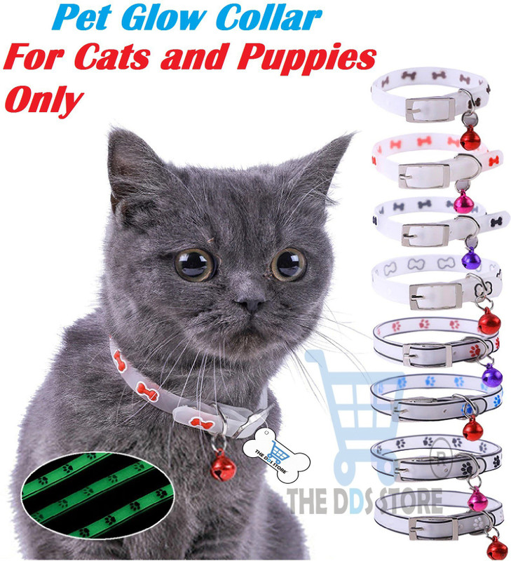 THE DDS STORE Cat Everyday Collar(Small, multicolor)