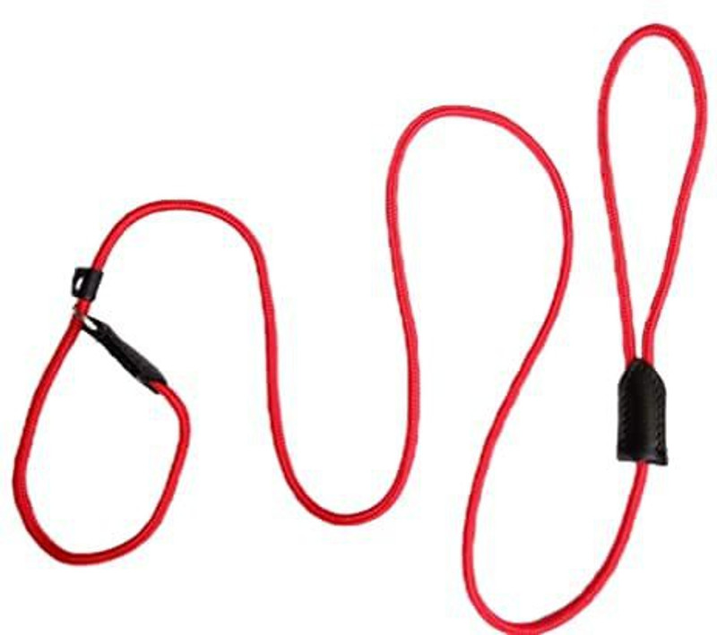 PSK PET MART Leash Cord Type Nylon LeashTraining Leash 5 Feet (Red) 25 cm Dog Cord Leash(Red)