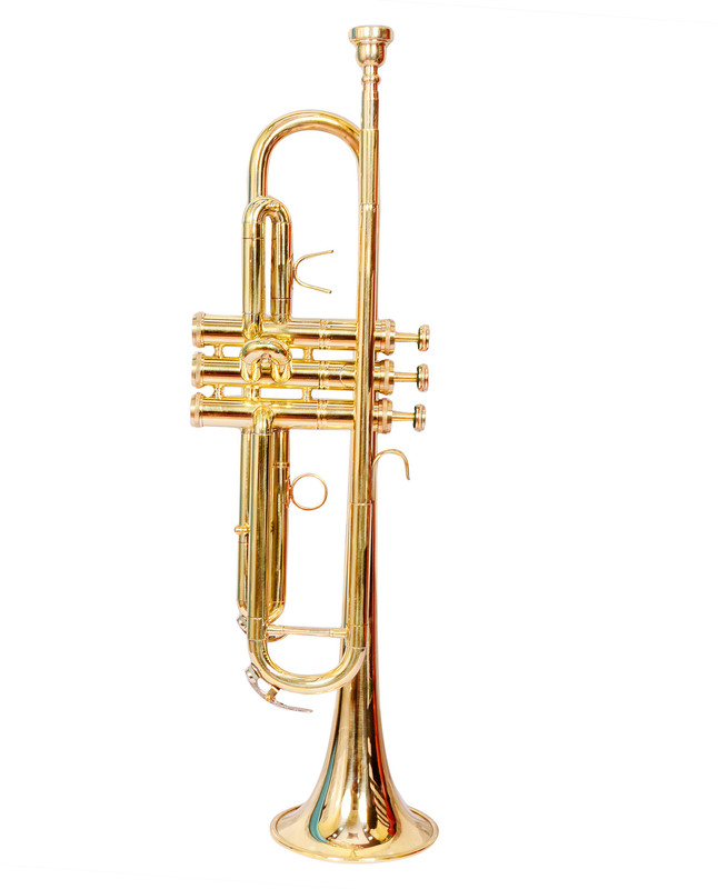 SKYLARK INTERNATIONAL TRMAD2GLDN TRMAD2GLDN Bb Trumpet(GOLDEN BRASS FINISH)