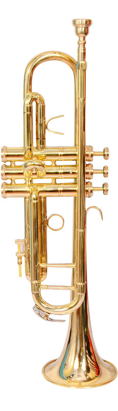 SKYLARK INTERNATIONAL TRMSAJGLDN Bb Trumpet(GOLDEN BARSS FINISH)