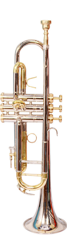 SKYLARK INTERNATIONAL TRMAD2SLGLDN Bb Trumpet(SILVER AND GOLDEN FINISH)