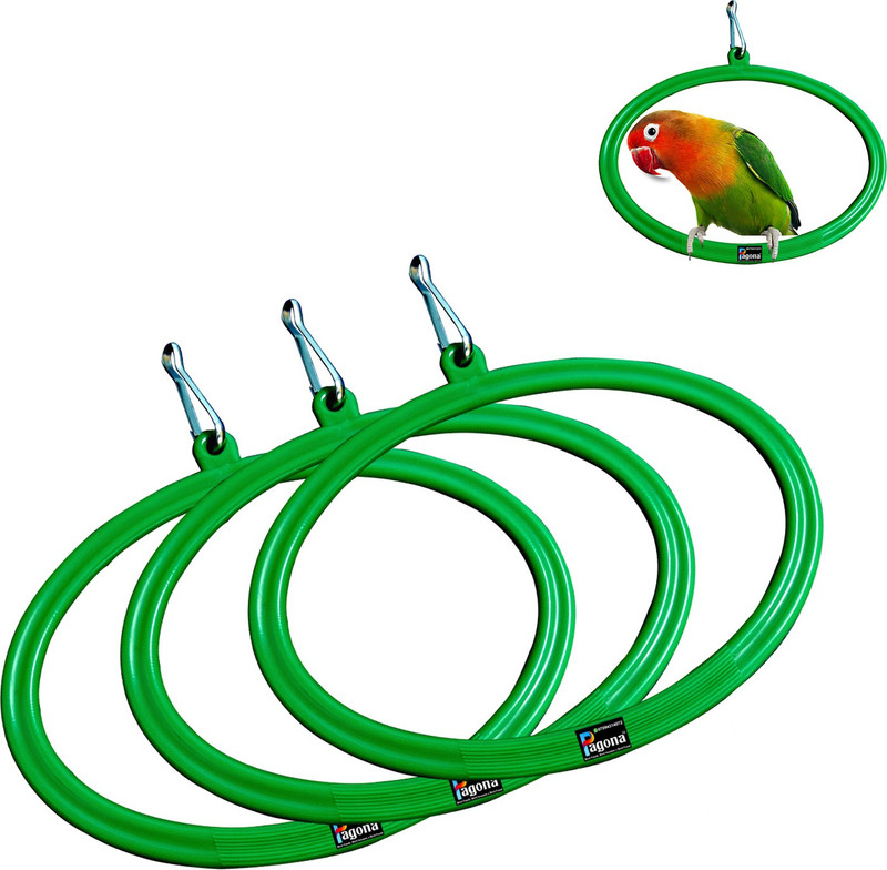 Pagona Round Swing Bird Toys ( Pack of 5 ) Bird Play Stand