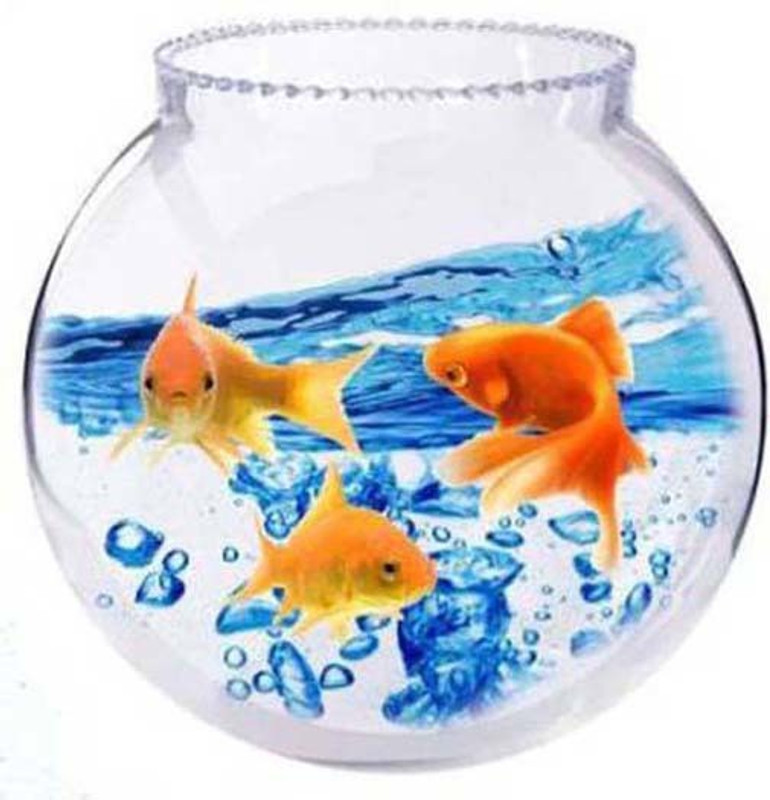 KAPDOLIYAS 8 L Fish Bowl