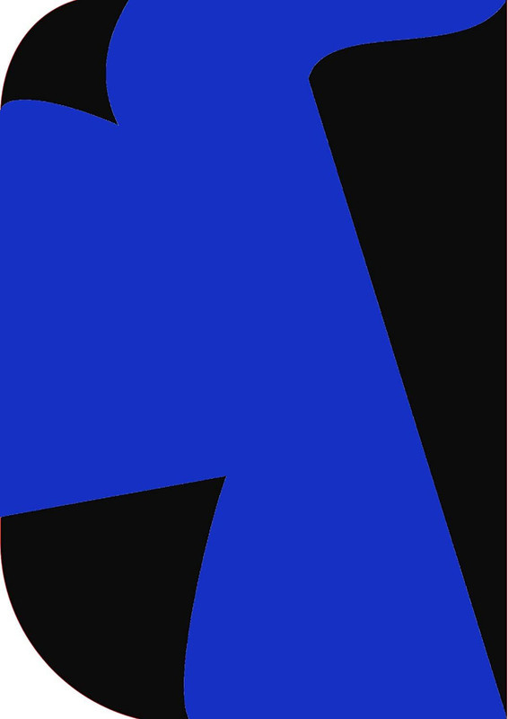 Vistook 8X 12ft,2In1 Colors Single Photography Backdrop(Black & Royal Blue 2In1) Reflector