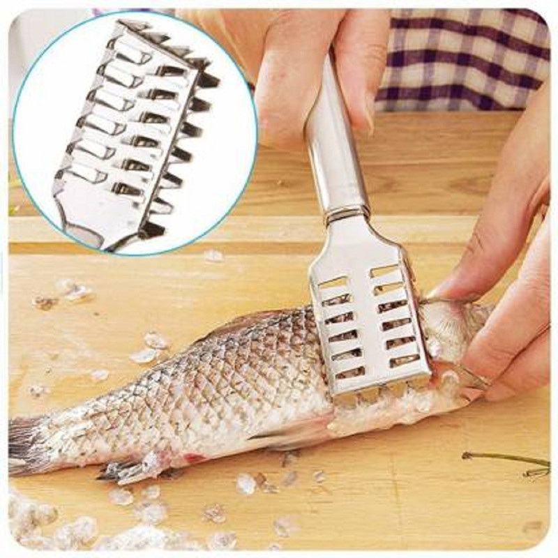 Cltllzen CLT 014 Fish Scraper Stainless Steel Remove Fish Scaler Fish Scaler(Pack of 1)