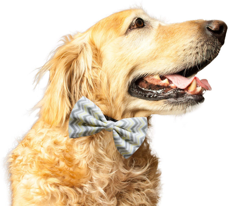RUSE Bow Tie for Dog, Cat("Navy Floral Printed"Anti Chafing Elastic Strap Gift for Pets Dogs)