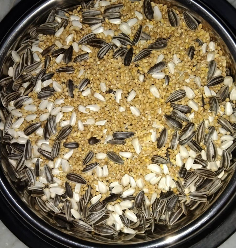 Leheriya LEHERIYA BIRD SEED MIX FOR BUDGIES AND ALL SMALL BIRDS 0.5 kg Dry Young, Adult, Senior Bird Food