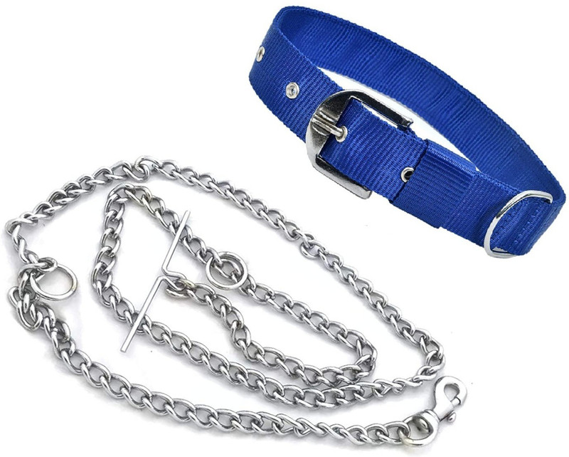 Quickato Good Quality Orange Belt/Puppy Collar Belt Dog Collar & Leash Steel Chain Dog Collar & Chain(Medium, Orange)