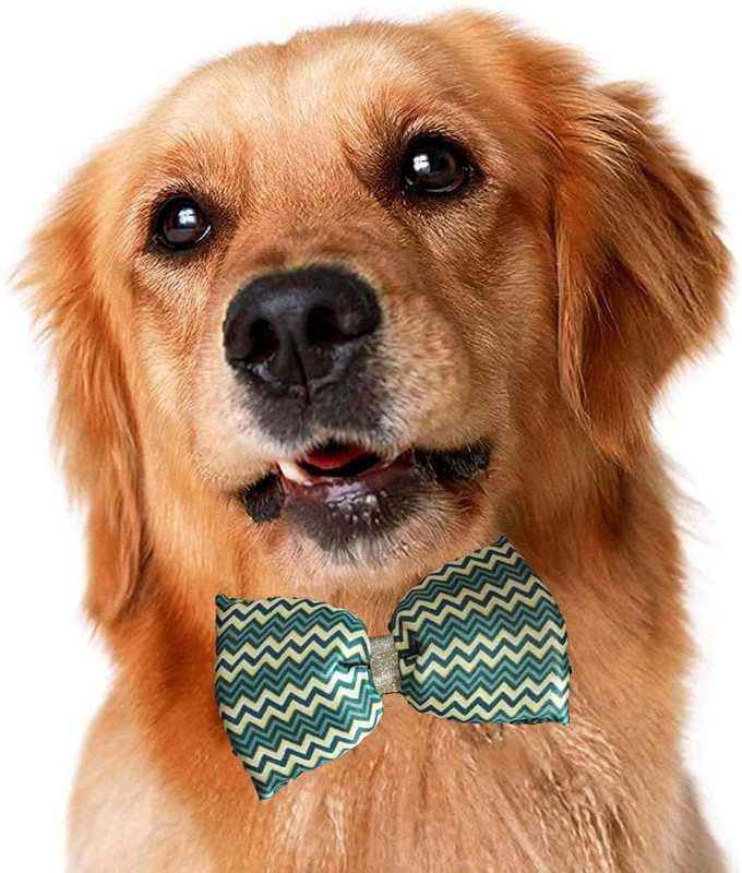 Pups&Pets Bow Tie for Dog, Cat(Multicolor)