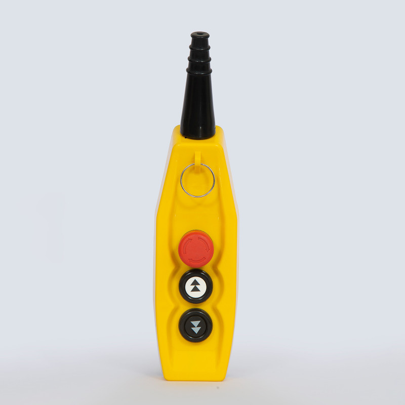 SRP Double Phase Pendant Station Hoist Crane Remote Control(2+1) Multipurpose Controller