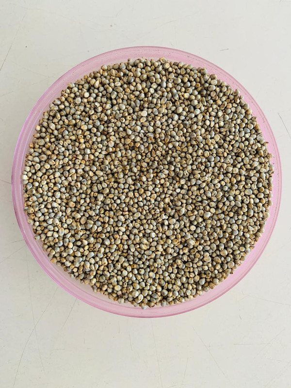 VM Mart Natural Pearl Millet, Kambu, Bajra for all Birds Love birds, Cocktails 1 kg Dry Young, Adult Bird Food