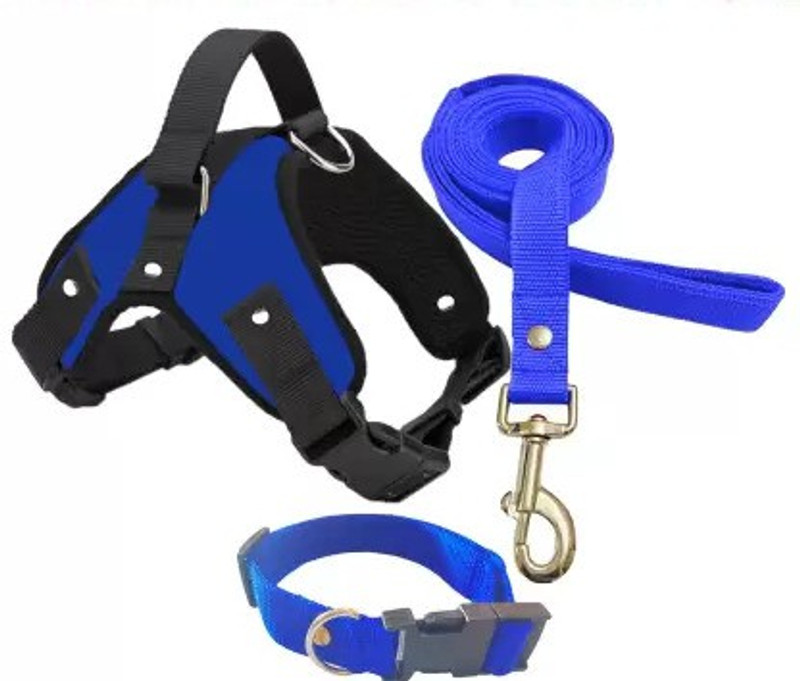 Hundur Store Harness With Strong Holder to Lift Chokefree Comfort Dog Harness+Leash+collar Dog Harness & Leash(Medium, blue Harness & Leash & collar)