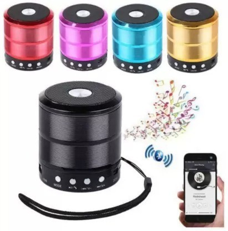 SANNO WORLD Mini Bluetooth Speaker WS 887 with FM Radio, Memory Card Slot Speaker Mod(Compatible only with Mobile/Tablet Speaker)
