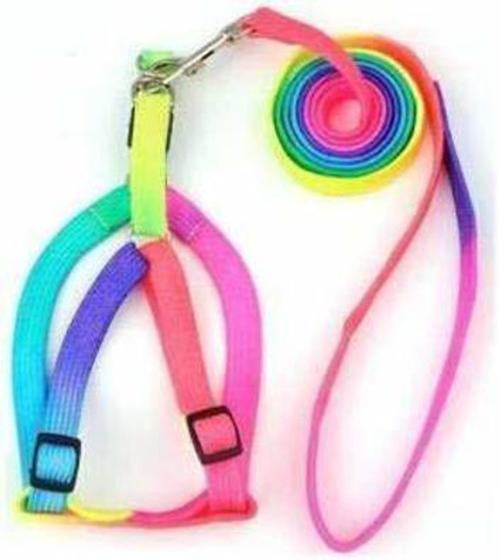 Woofy Rainbow Color Puppy Harness & Leash Set Small Dog Harness Leash Bell Dog & Cat Collar Charm(Multicolore, Solid)