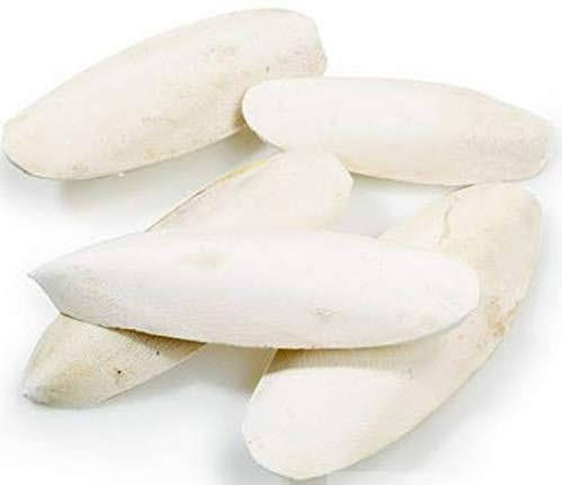 Pet Pro Cuttlefish Bone CALCIUM 100 Gram For Oral OR Food Mix Nutrient of Birds, Budgies Sea Food 0.2 kg Dry Adult, Senior, Young Bird Food