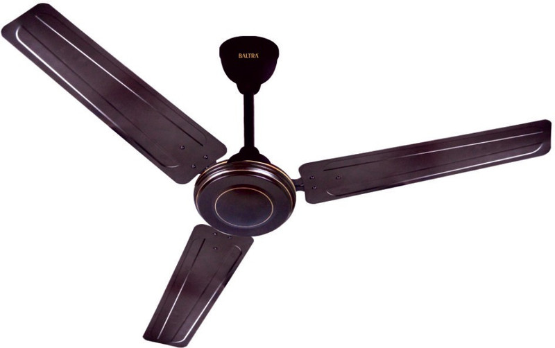 wing-pro-48-brown-ceiling-fan-baltra-original-imagczptrszsvq7z.jpeg