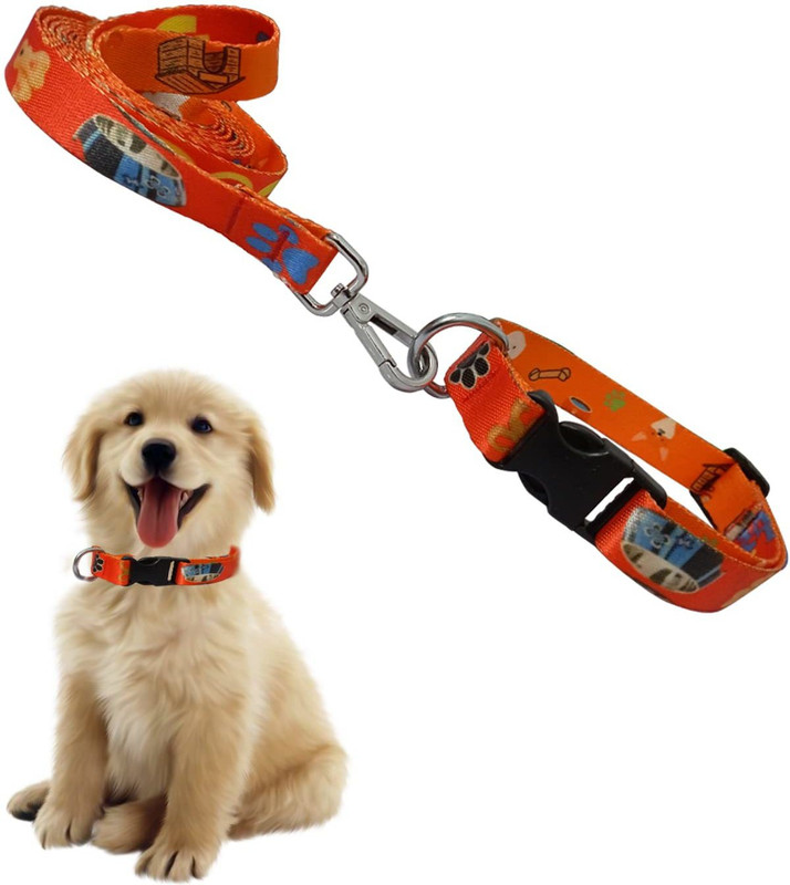 Jainsons Pet Products 12MM Orange Collar and Leash Set for Daily Outdoor Walking Printed Design for Dog & Cat Collar & Leash(Small, Orange)