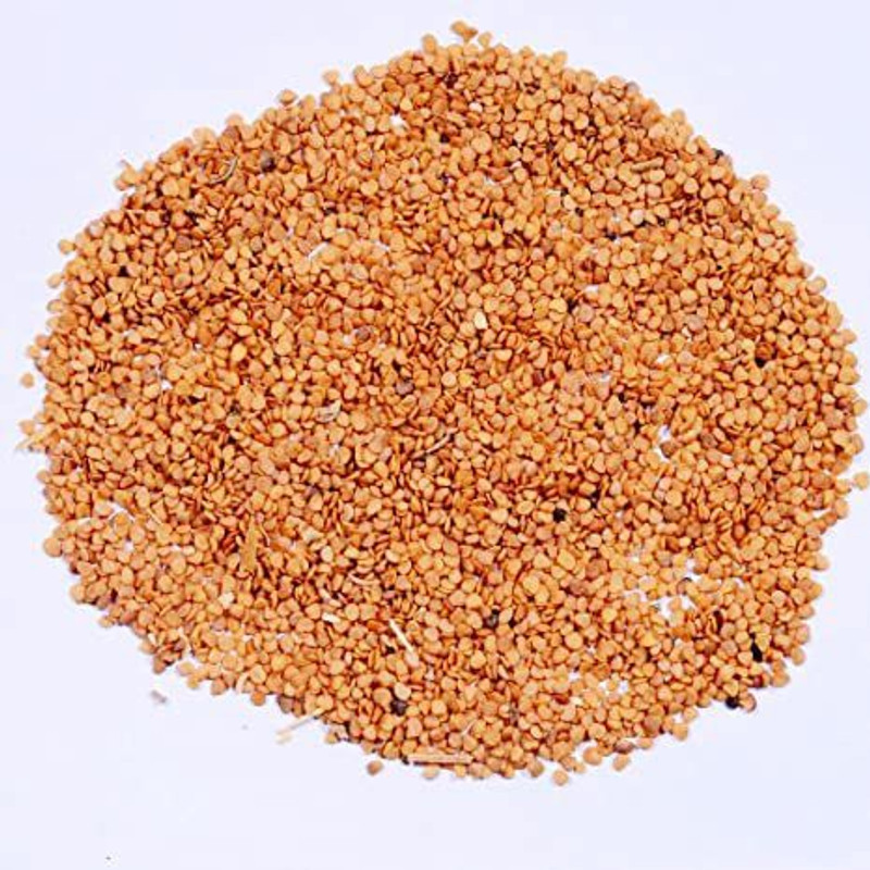 Ravel Ashwagandha seed pack of 1000 gm Seed(1000 g)