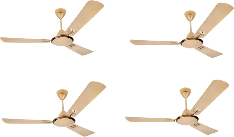 USHA Striker Galaxy 1200mm PACK OF 4 1200 mm 3 Blade Ceiling Fan (Bright Gold, Pack of 4)