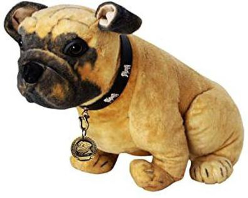 Rvpaws Imported Brass Round Shape Dog Print Collar Tag Cum Collar Charm for Dog & Puppy Embellished Dog Collar Charm(Golden, Round)