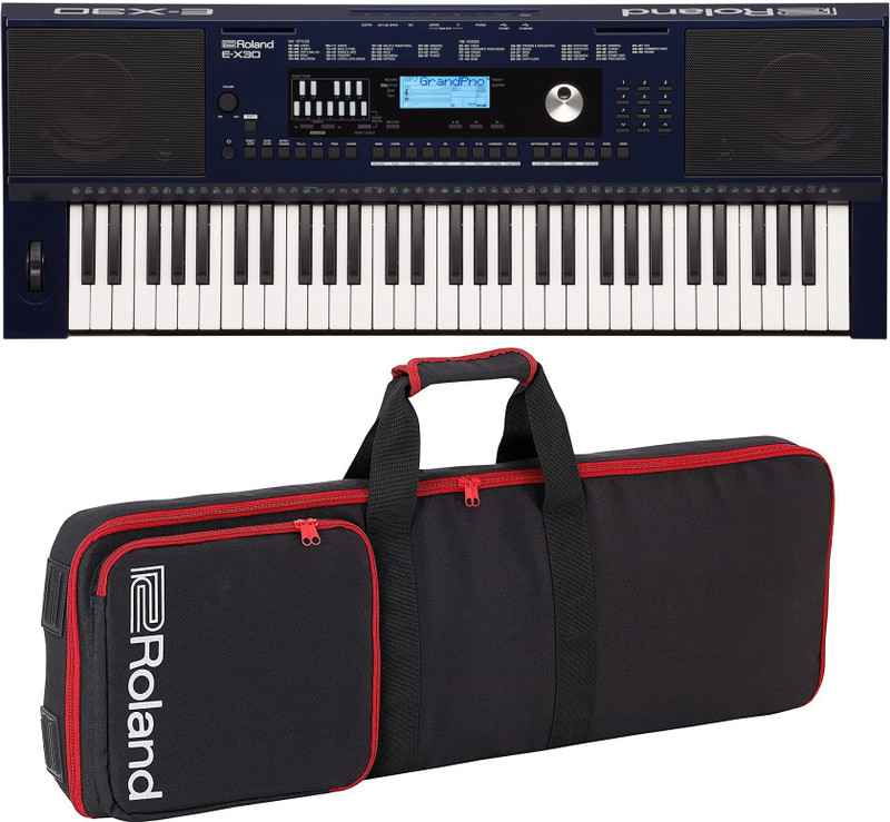 Roland E-X30 61 keys Arranger Keyboard with Carry Bag E-X30 + CARRY CASE Analog Arranger Keyboard(61 Keys)