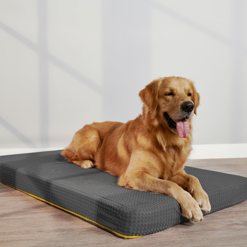 SleepyCat Orthopedic Dog and Cat L Pet Bed(Grey)