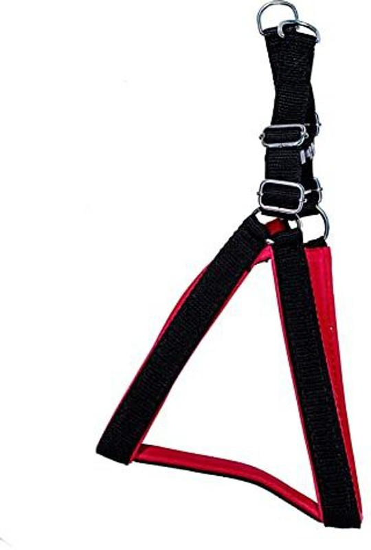 Pups&Pets Padded Harness Belt and Padded Leash Chain for Small Dog of All Breeds Rakes for  Dog