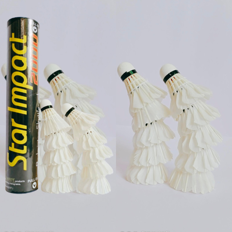 ZF International Hot shot Feather Shuttle  - White(Medium, 77, Pack of 10)