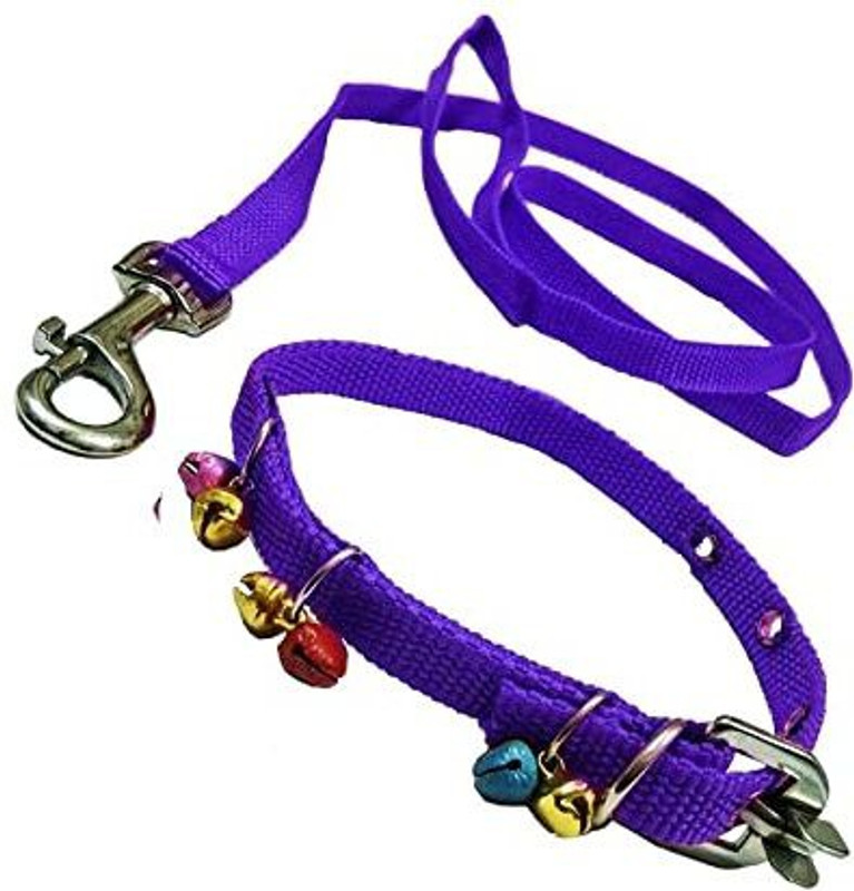 Sip Nylon Dog Belt Combo of blue Ghungroo Collar with blue 1.5m Lengthy 120 cm Dog & Cat Chain Leash(Blue)