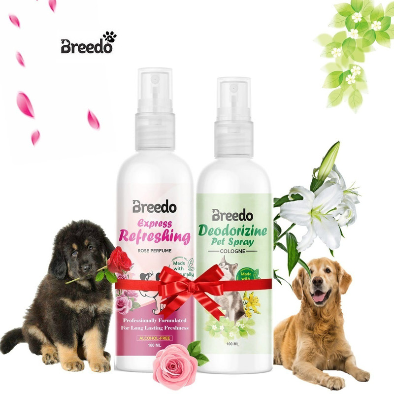 Breedo Dog (Pack of 2) Odor Dog Deodorizing Perfume Spray + Refreshing Rose Perfume Natural Cologne(200 ml)