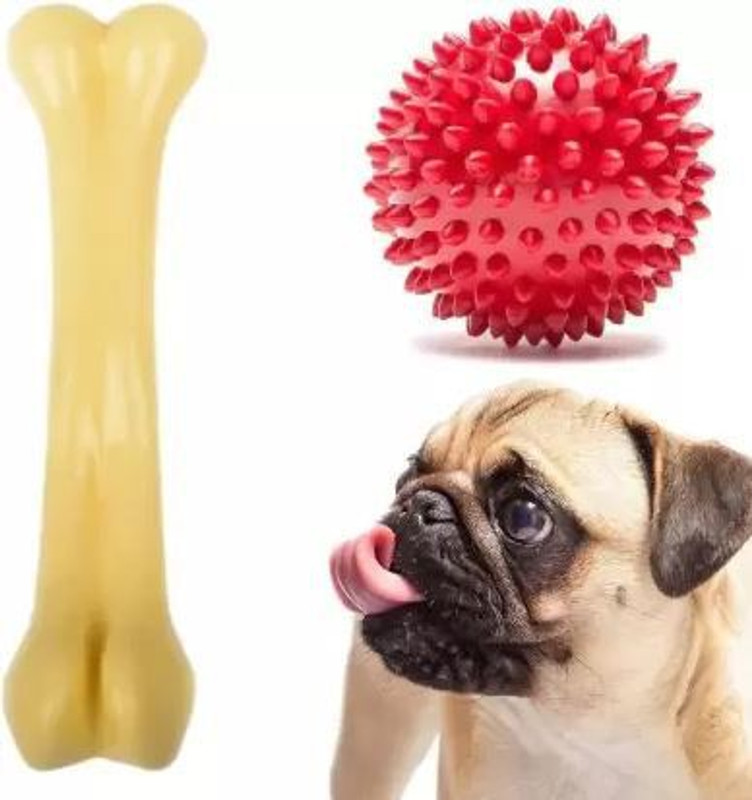 Sip SIP Rubber Spiked Ball Dog Chew Toy and Large Plastic Dog Bone Chew Toy Rubber, Nylon Ball, Bone, Chew Toy, Rubber Toy For Dog