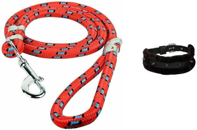 Y N Y N India Export Quality Dog Red Multi Rope & Black Bell Collar Small Dog Collar & Chain(Small, BLACK, RED)