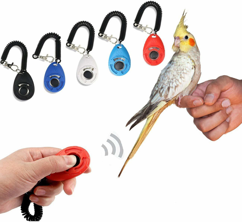Sage Square Pet Training Clicker With Wrist Strap For Bird / Parrots / Budgies (Random) Plastic Training Aid For Bird