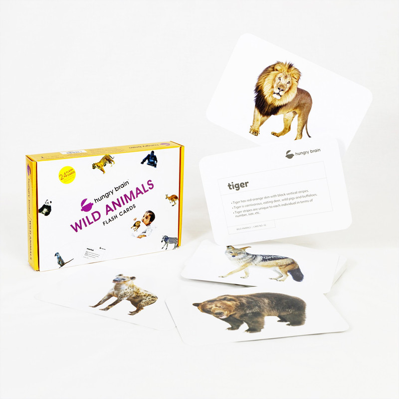 hungry brain Wild Animals Flash Cards(Multicolor)