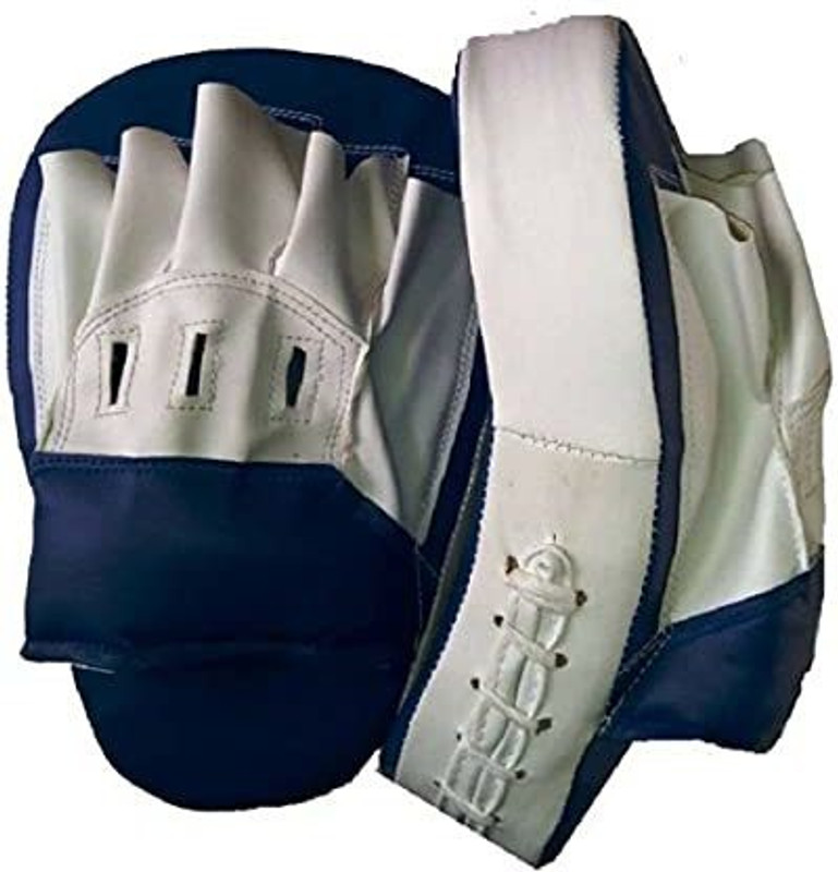 Rakso BOXING/MARTIAL/KARATE Curved Focus Pad Curved Focus Pad(White)