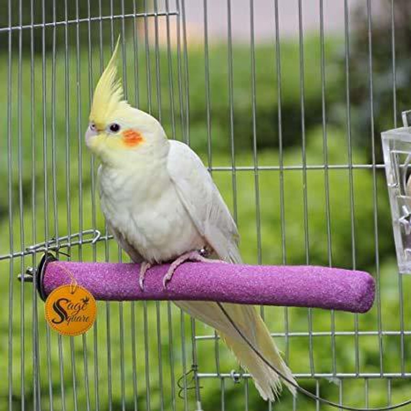 Sage Square Natural Habitat Wooden Sand Perch/Stand/Toy for Birds (Light Weight)(Size - 10") Wooden Training Aid For Bird